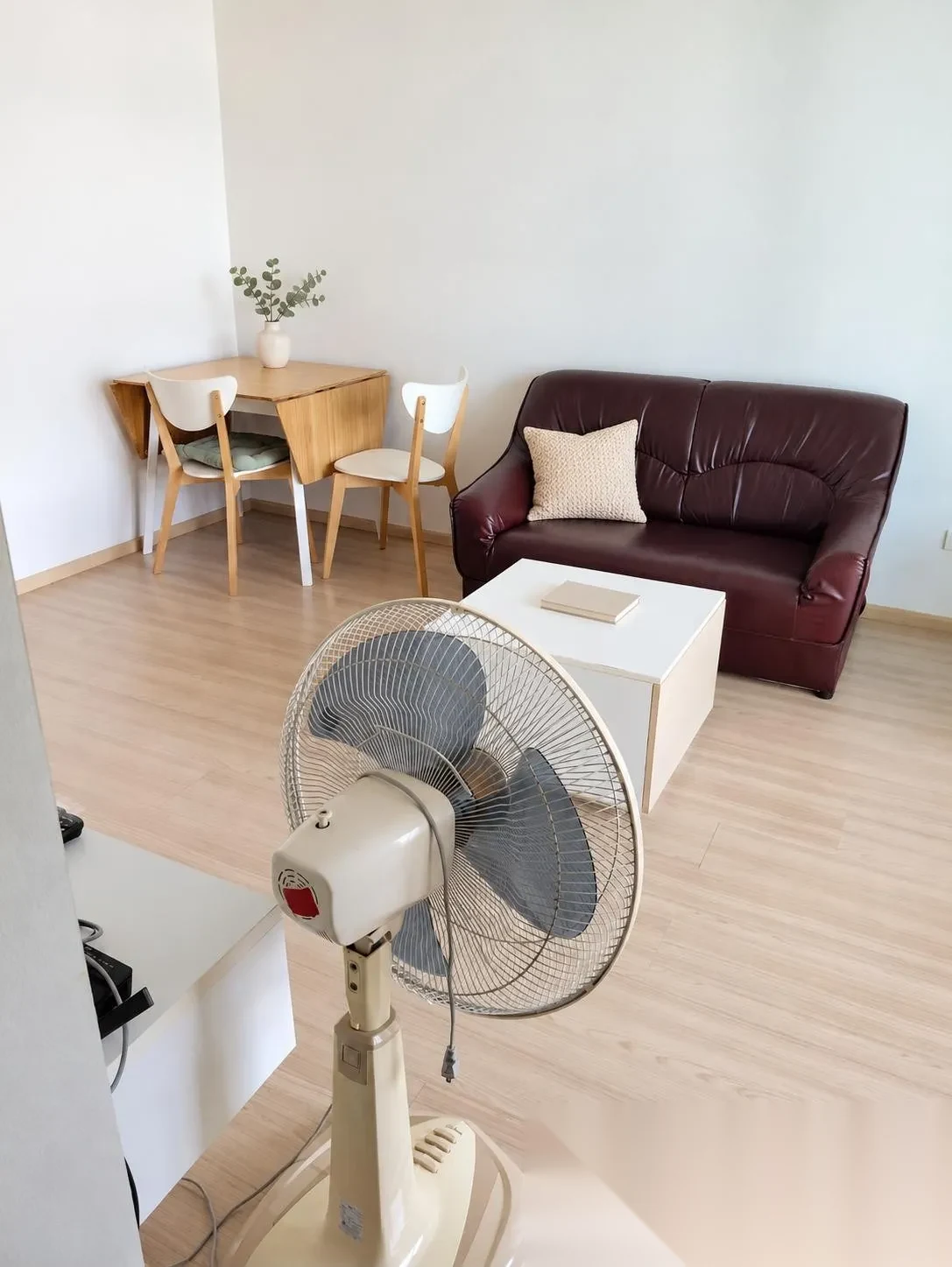 1 Bedroom Apartment for rent at Connext complex · Phuket Town — photo 7