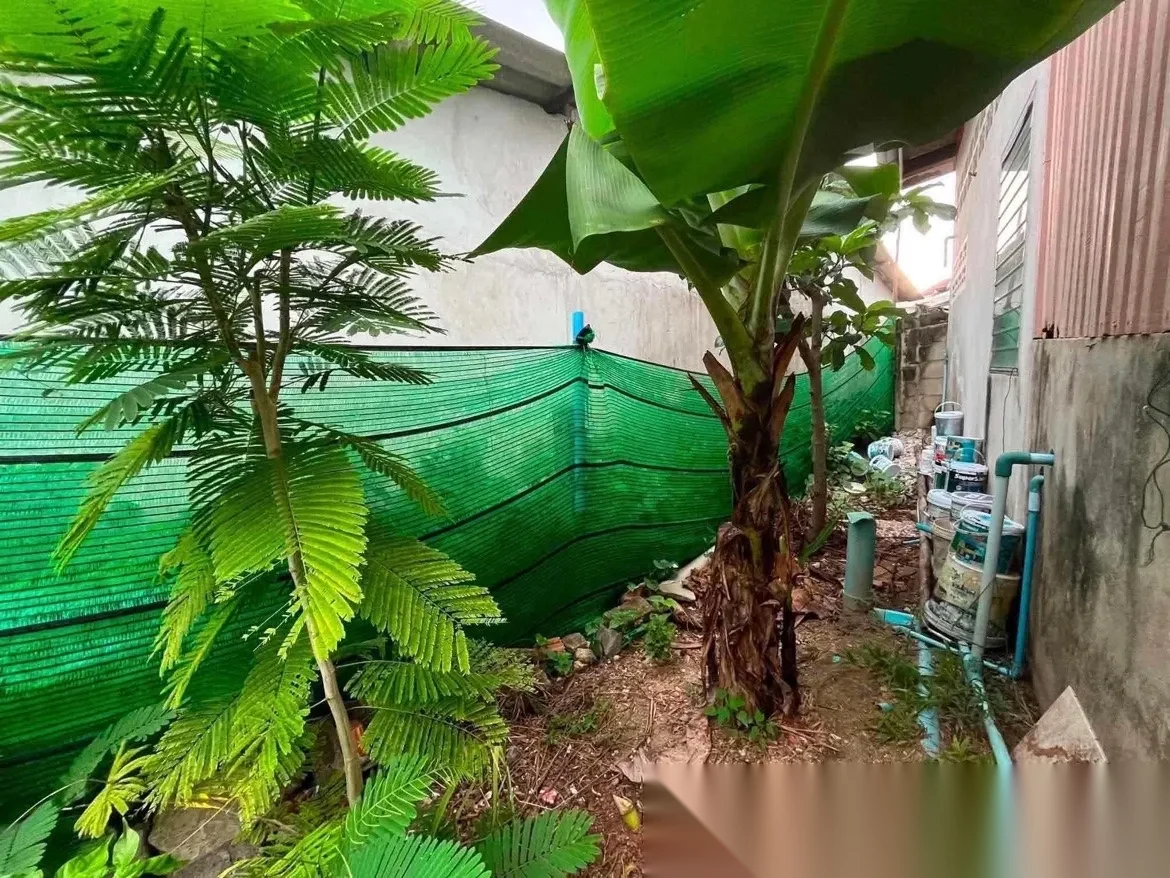 2 Bedroom House for sale · Choeng Thale — photo 3