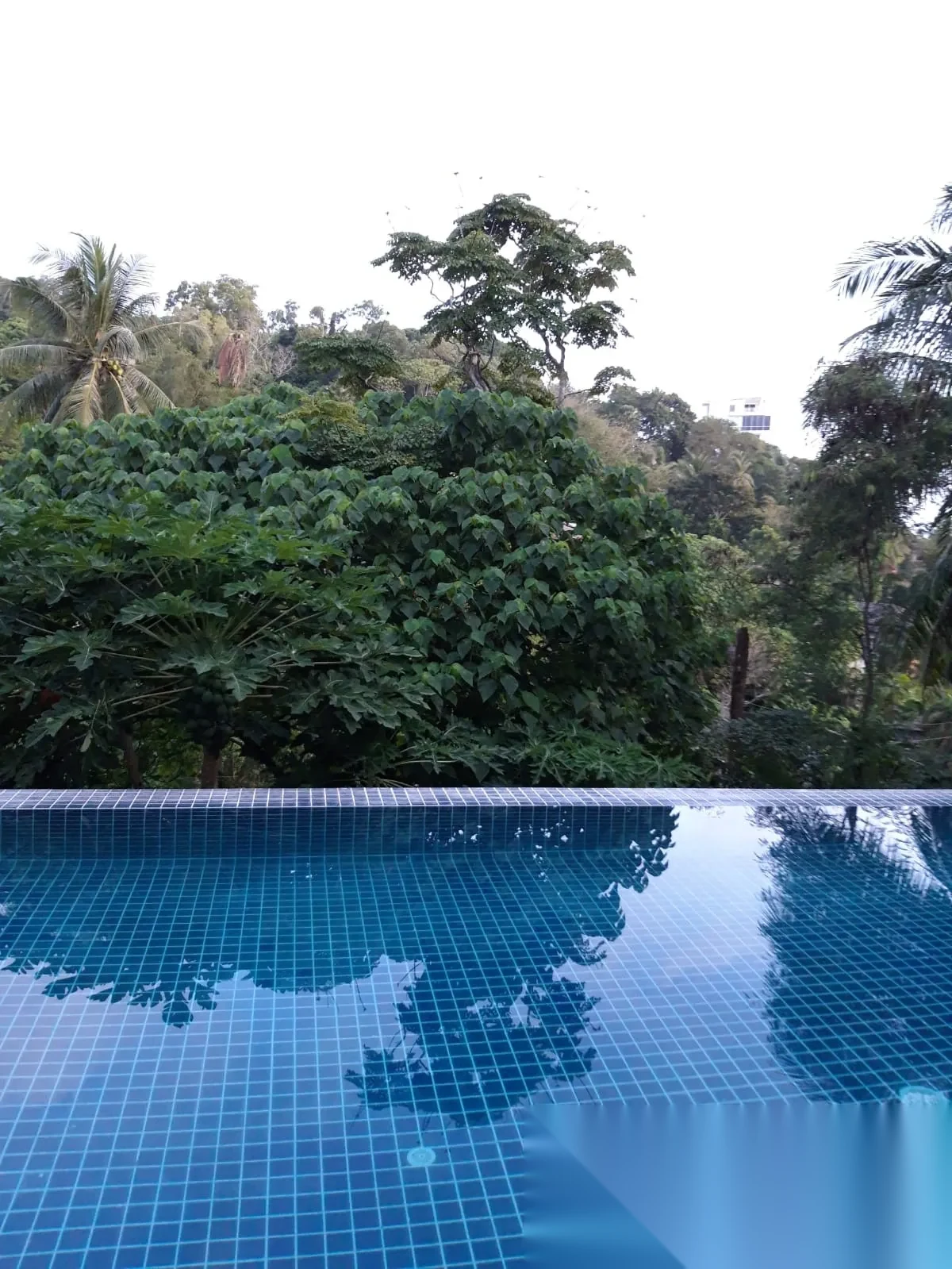 1 Bedroom Apartment for sale at Palm & Pine At Karon Hill complex · Karon · Pool View — photo 18