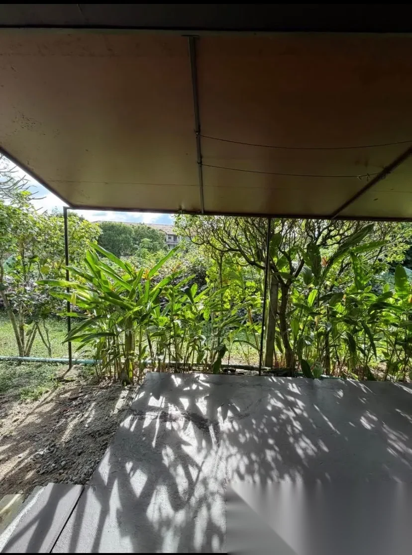 1 Bedroom House for rent · Chalong · Garden View — photo 8