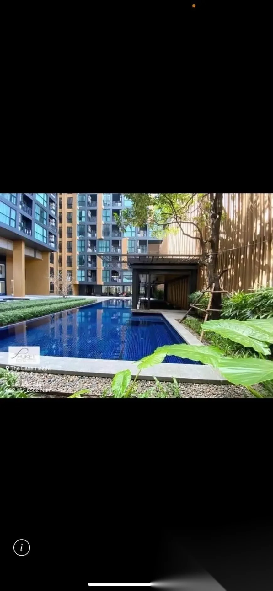 Апартаменты 1BR в ЖК The Base Height · Пхукет-таун · Вид на бассейн — фото 9