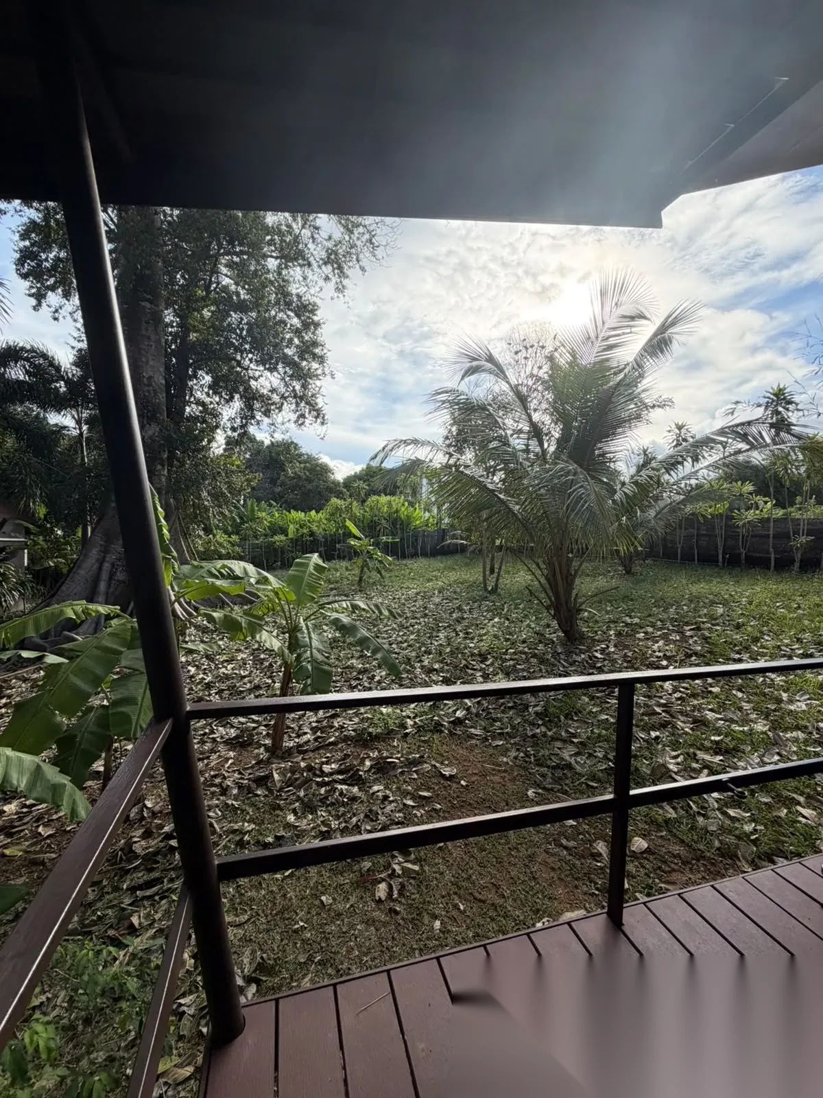 1 Bedroom House for rent · Chalong · Garden View — photo 7