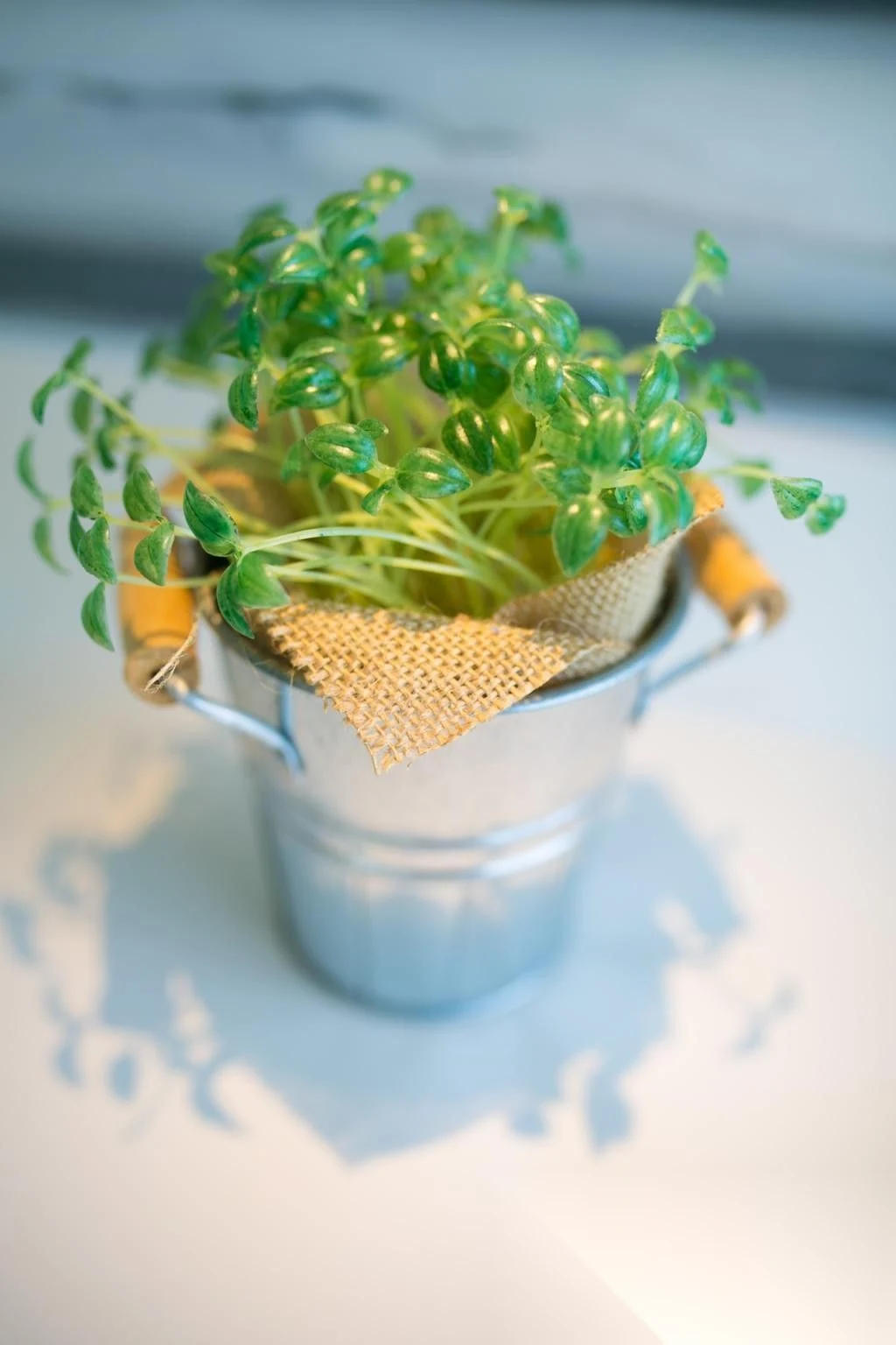 4 Bedroom Villa for sale · Pa Khlok · Pool View — photo 33