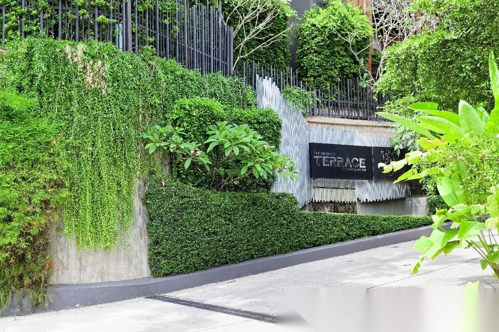 Апартаменты студия в ЖК The Emerald Terrace · Патонг · Вид на бассейн — фото 34
