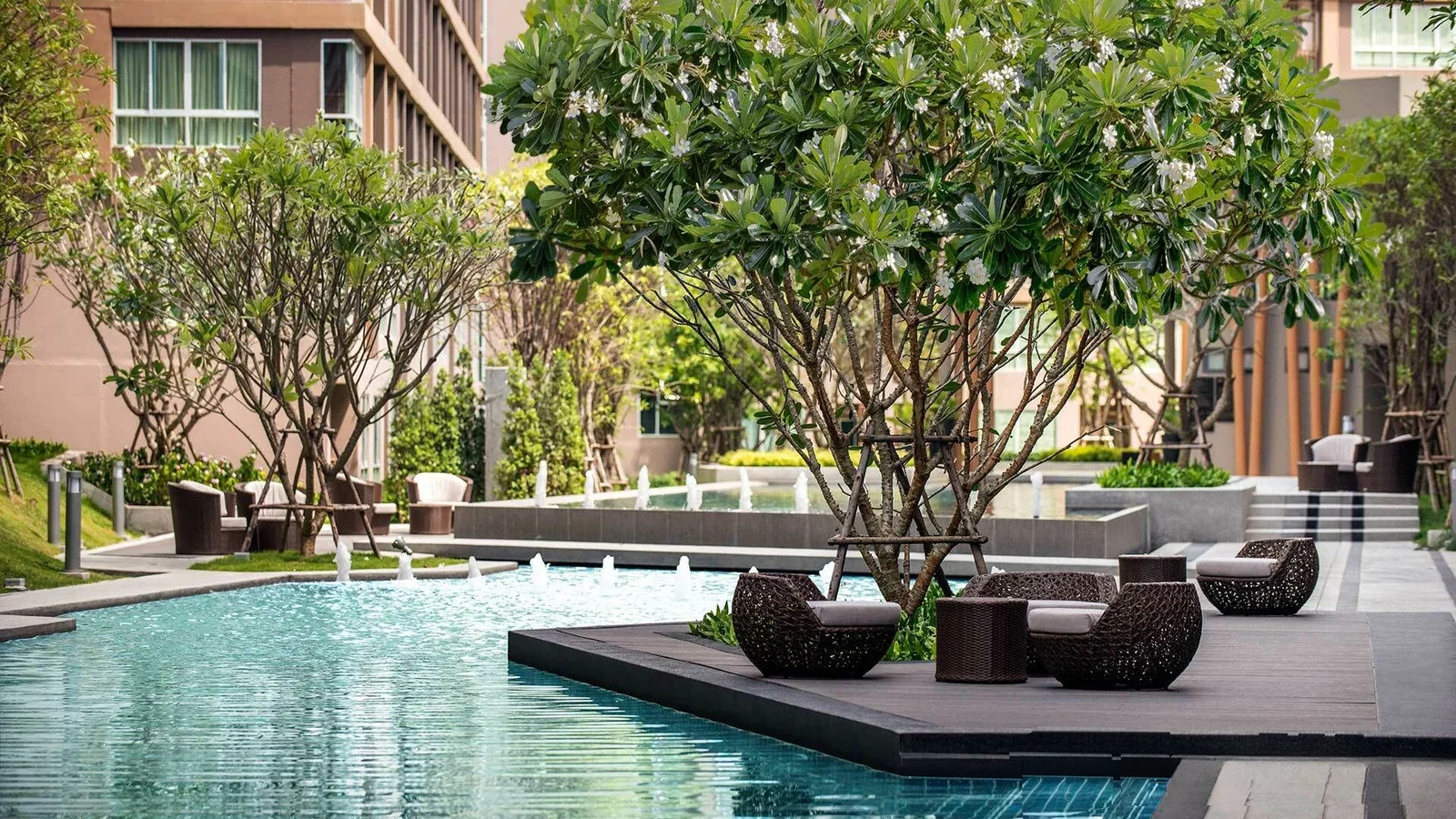 D Condo Creek